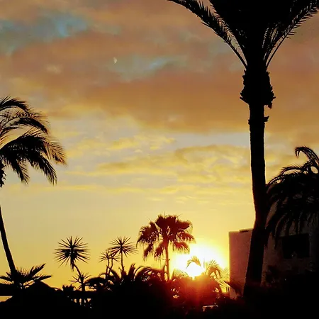 Apartamento La Estrella Del Sur Costa Adeje (Tenerife)
